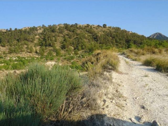 Terreno en venta en Altiplano, Murcia