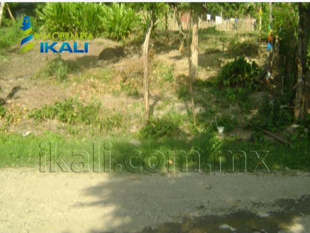 Terreno en venta en Tepetzintla, Veracruz