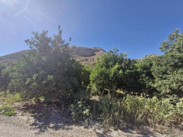 Terreno en venta en Terque, Andalucía
