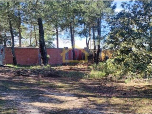 Terreno en venta en Terradillos, Castilla y León