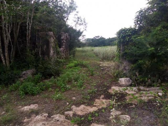 Terreno en venta en Tetiz