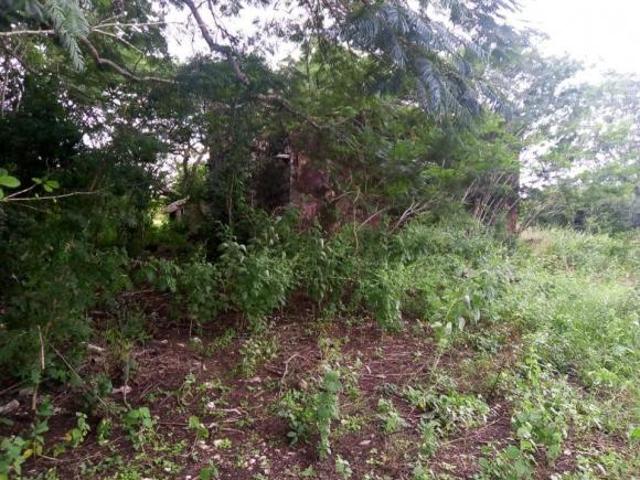 Terreno en venta en Tetiz