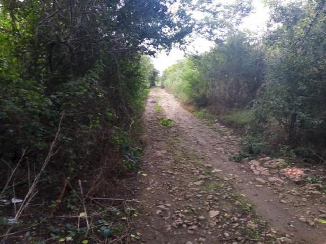 Terreno en venta en Tetiz