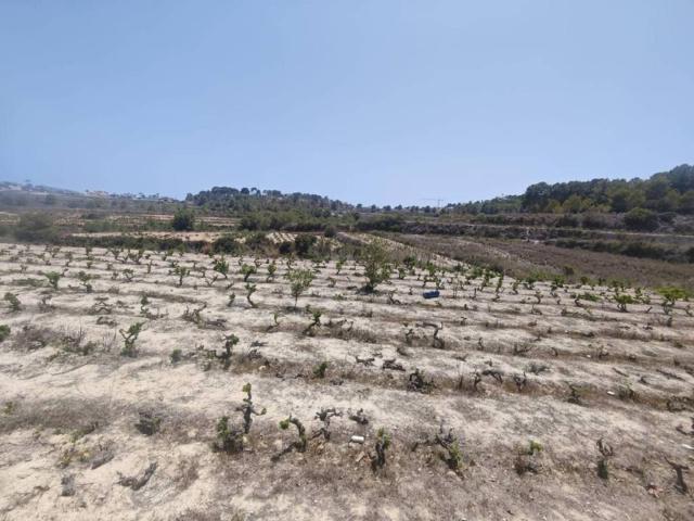 Terreno en venta en la Marina Alta, Valencia