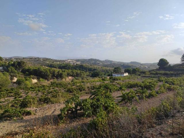 Terreno en venta en la Marina Alta, Valencia