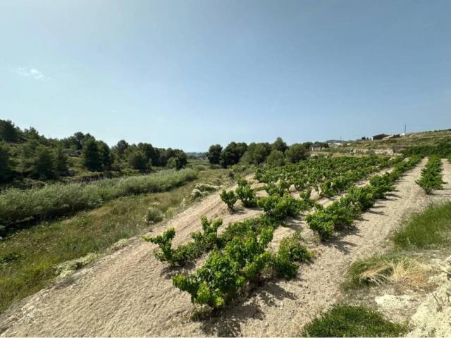 Terreno en venta en Teulada, Alacant / Alicante