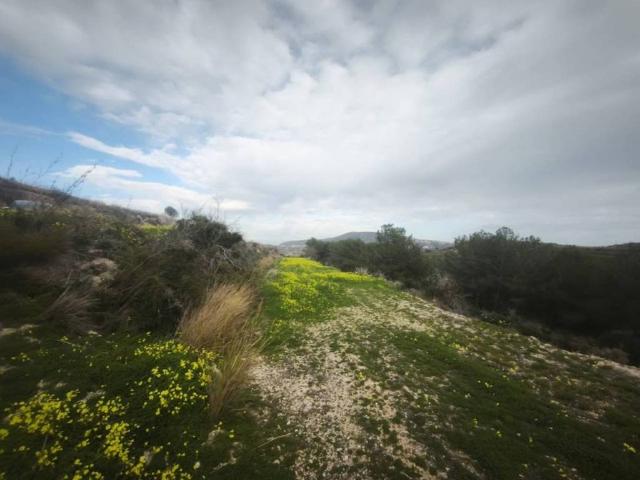Terreno en venta en la Marina Alta, Valencia