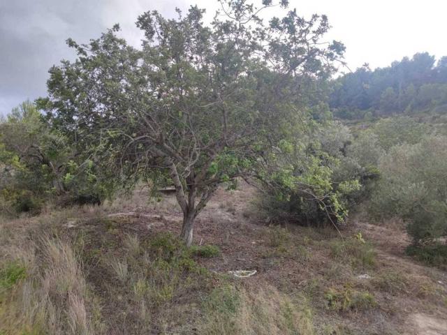 Terreno en venta en la Marina Alta, Valencia