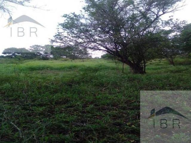 Terreno en venta en Texistepec, Veracruz