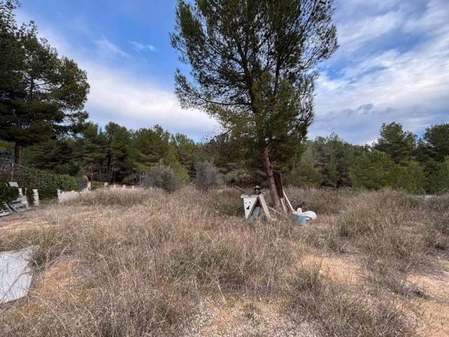 Terreno en venta en l'Alcoià, Valencia