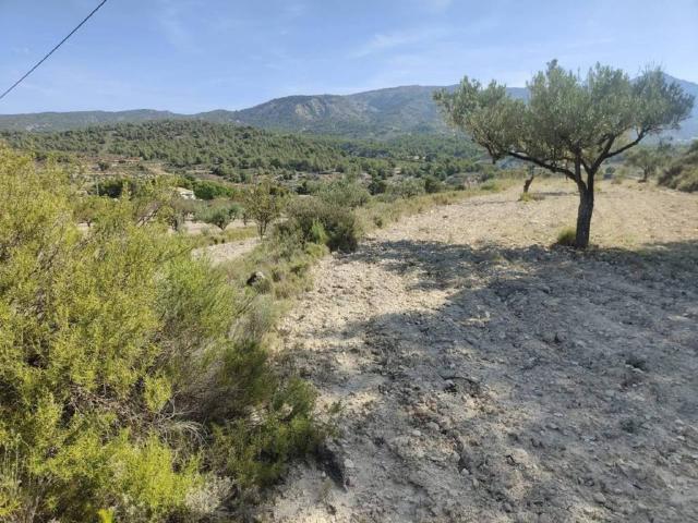 Terreno en venta en l'Alcoià, Valencia
