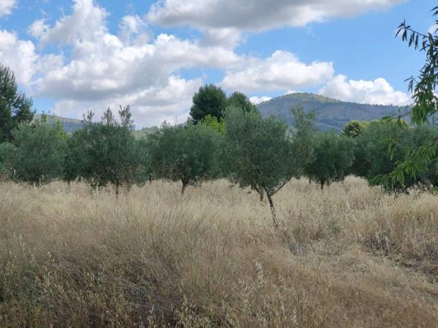Terreno en venta en l'Alcoià, Valencia