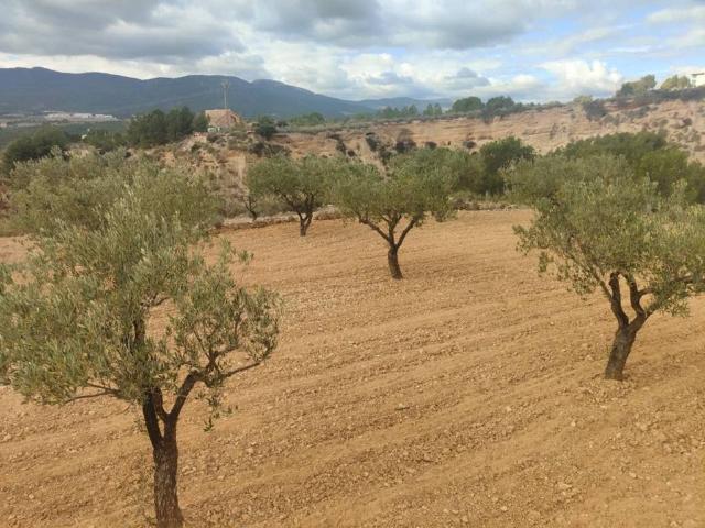 Terreno en venta en l'Alcoià, Valencia