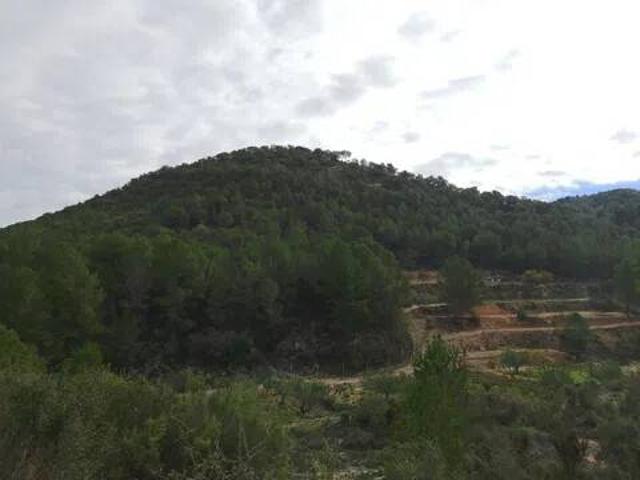 Terreno en venta en l'Alcoià, Valencia
