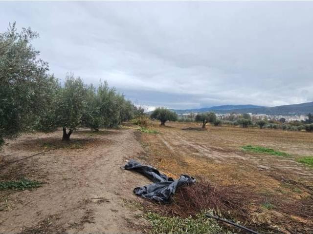 Terreno en venta en Valle del Almanzora, Andalucía