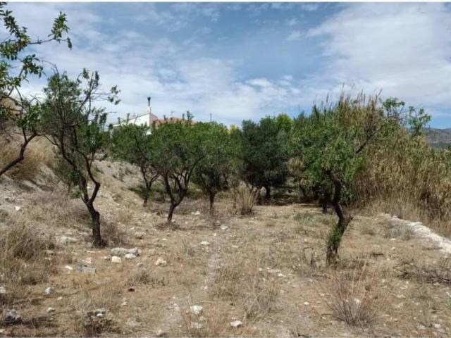 Terreno en venta en Valle del Almanzora, Andalucía