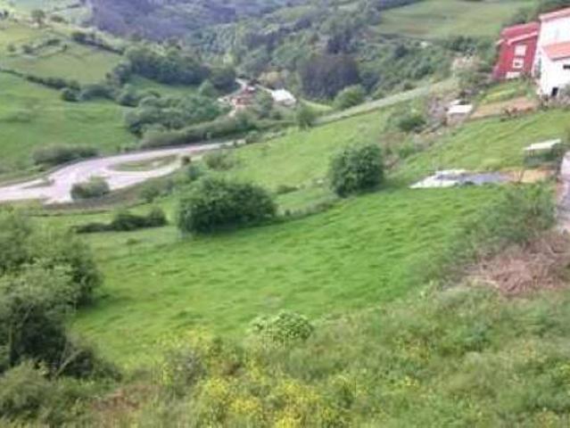 Terreno en venta en Tineo, Asturias