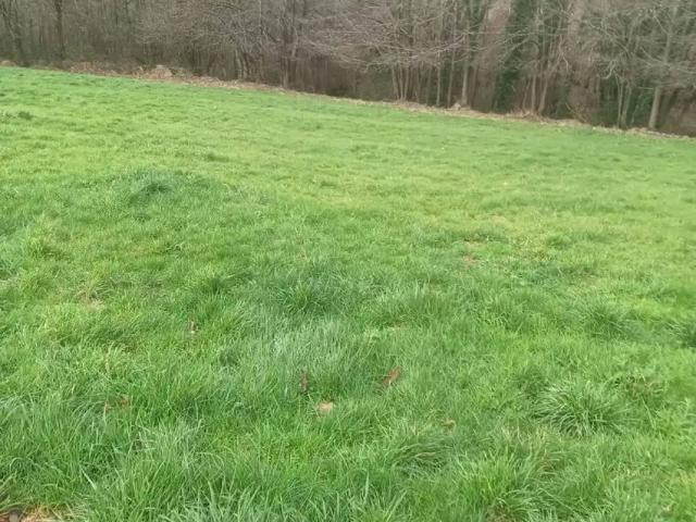 Terreno en venta en Tineo, Asturias