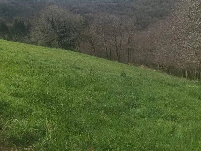 Terreno en venta en Tineo, Asturias