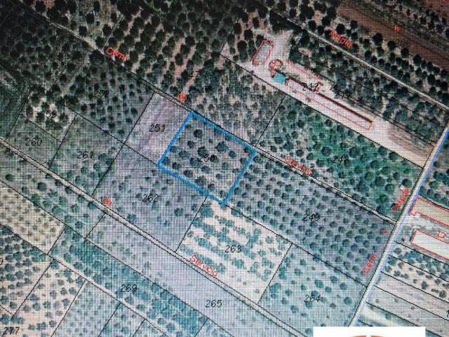 Terreno en venta en l'Alt Maestrat, Valencia