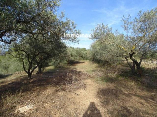 Terreno en venta en Baix Ebre, Catalunya