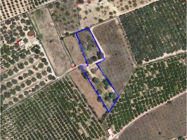 Terreno en venta en Baix Ebre, Catalunya