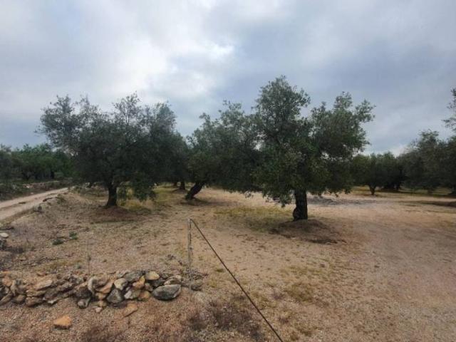 Terreno en venta en Baix Ebre, Catalunya