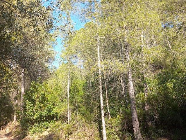 Terreno en venta en Baix Ebre, Catalunya