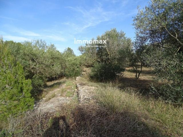 Terreno en venta en Baix Ebre, Catalunya