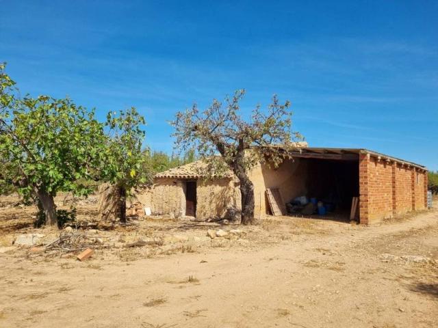 Terreno en venta en Ribera d'Ebre, Catalunya