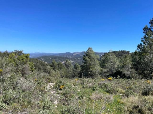 Terreno en venta en Ribera d'Ebre, Catalunya