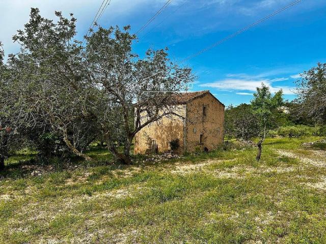 Terreno en venta en Ribera d'Ebre, Catalunya