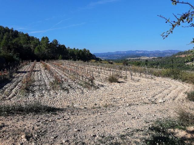 Terreno en venta en Tivissa, Tarragona