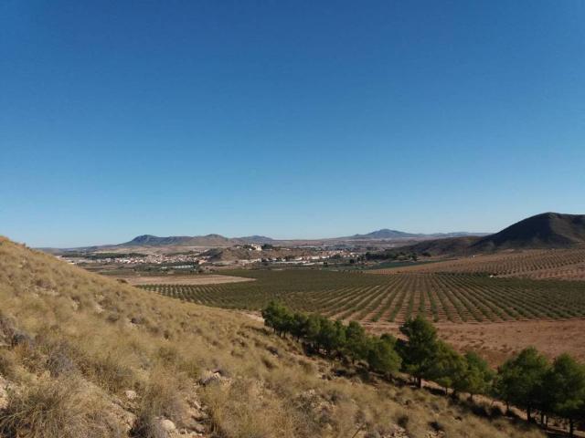 Terreno en venta en Tobarra, Castilla-La Mancha