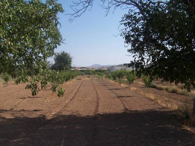 Terreno en venta en Tobarra, Castilla-La Mancha