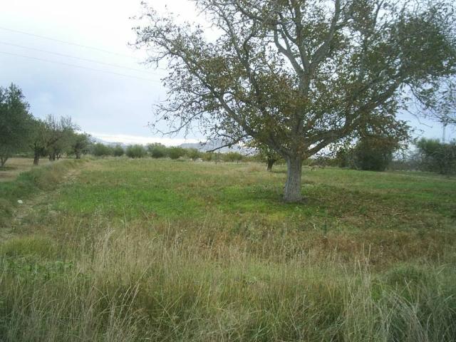 Terreno en venta en Tobarra, Castilla-La Mancha