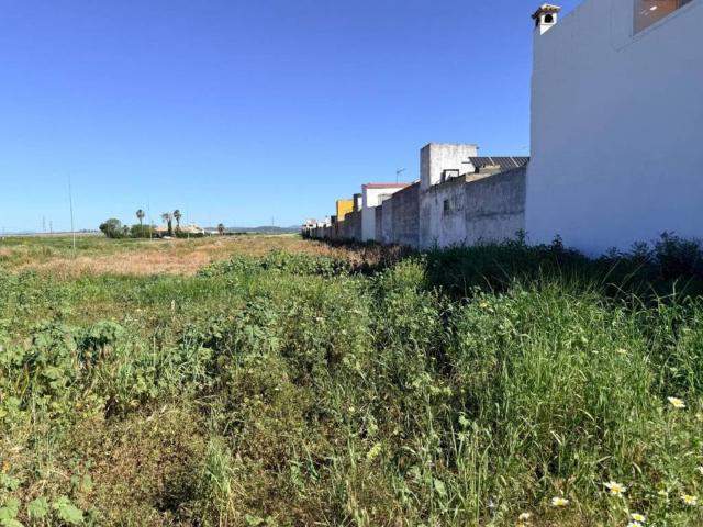 Terreno en venta en Tocina, Andalucía
