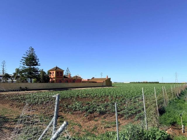 Terreno en venta en Tocina, Andalucía