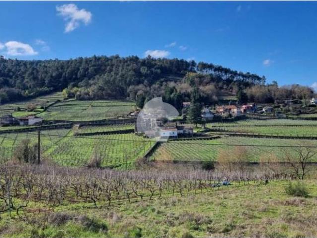 Terreno en venta en Ourense, Galicia