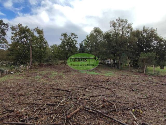 Terreno en venta en Toén, Ourense