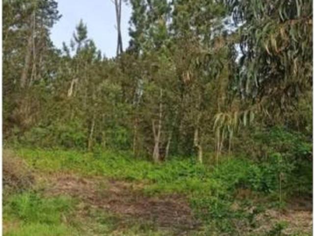 Terreno en venta en Castrelo de Miño, O Ribeiro