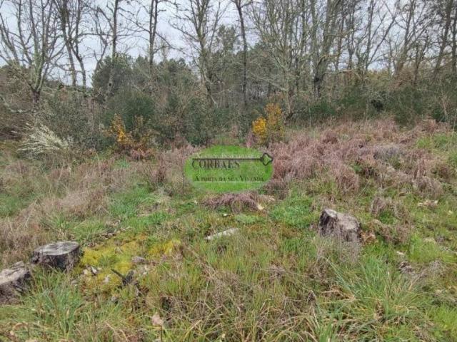 Terreno en venta en Ourense, Galicia
