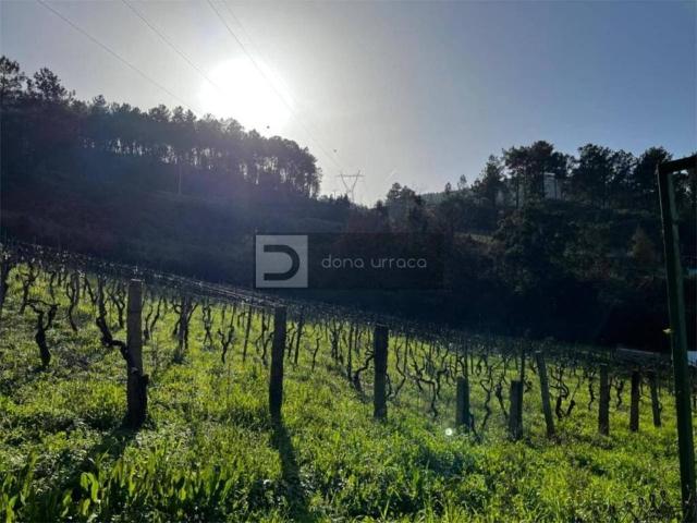 Terreno en venta en Toén, Ourense