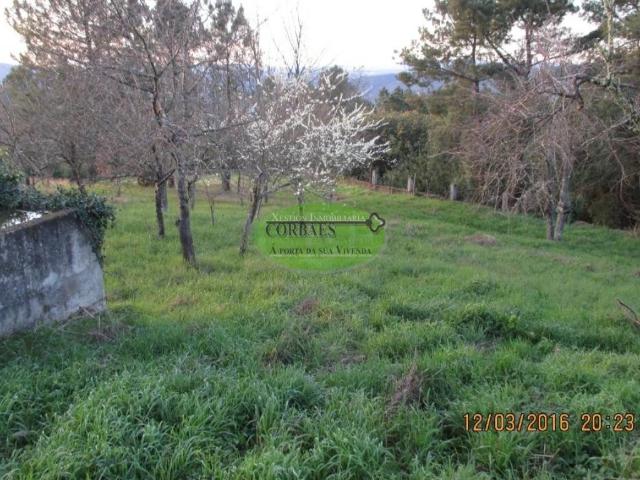 Terreno en venta en Toén, Ourense