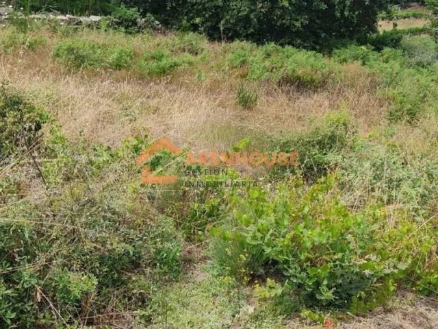 Terreno en venta en Toén