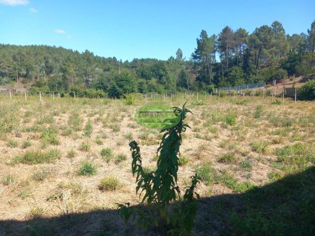 Terreno en venta en Toén