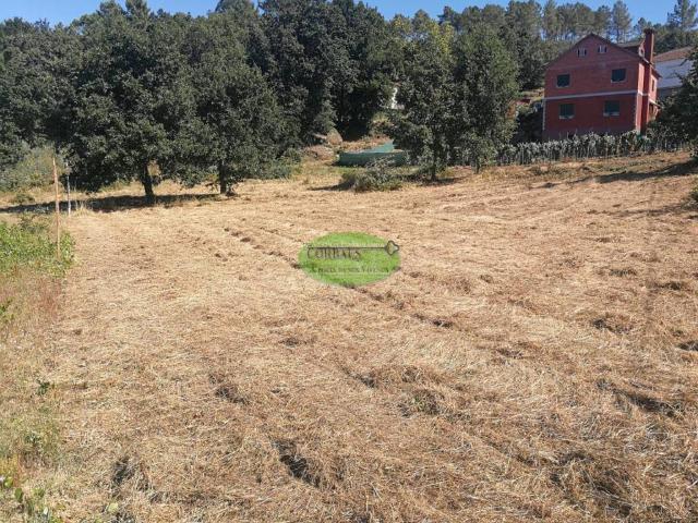 Terreno en venta en Toén