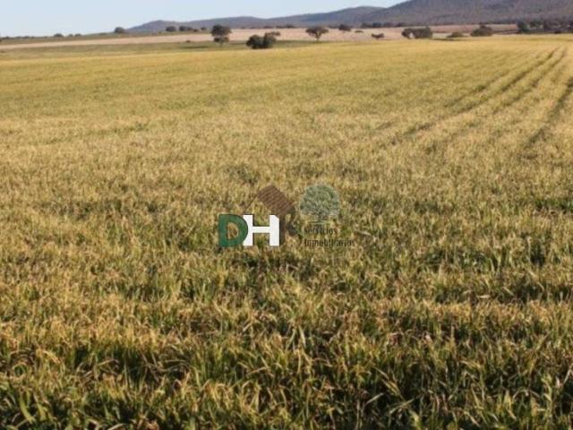 Terreno en venta en Toledo, Los Cigarrales
