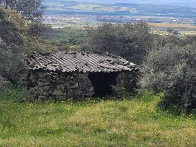 Terreno en venta en Toledo, Castilla-La Mancha