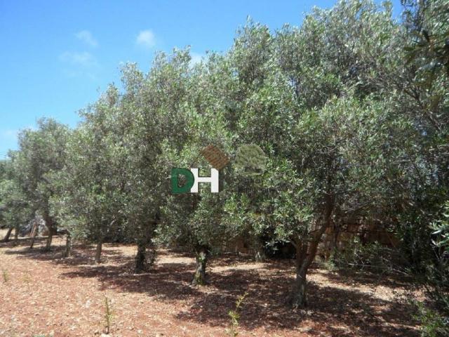 Terreno en venta en Toledo, Los Cigarrales